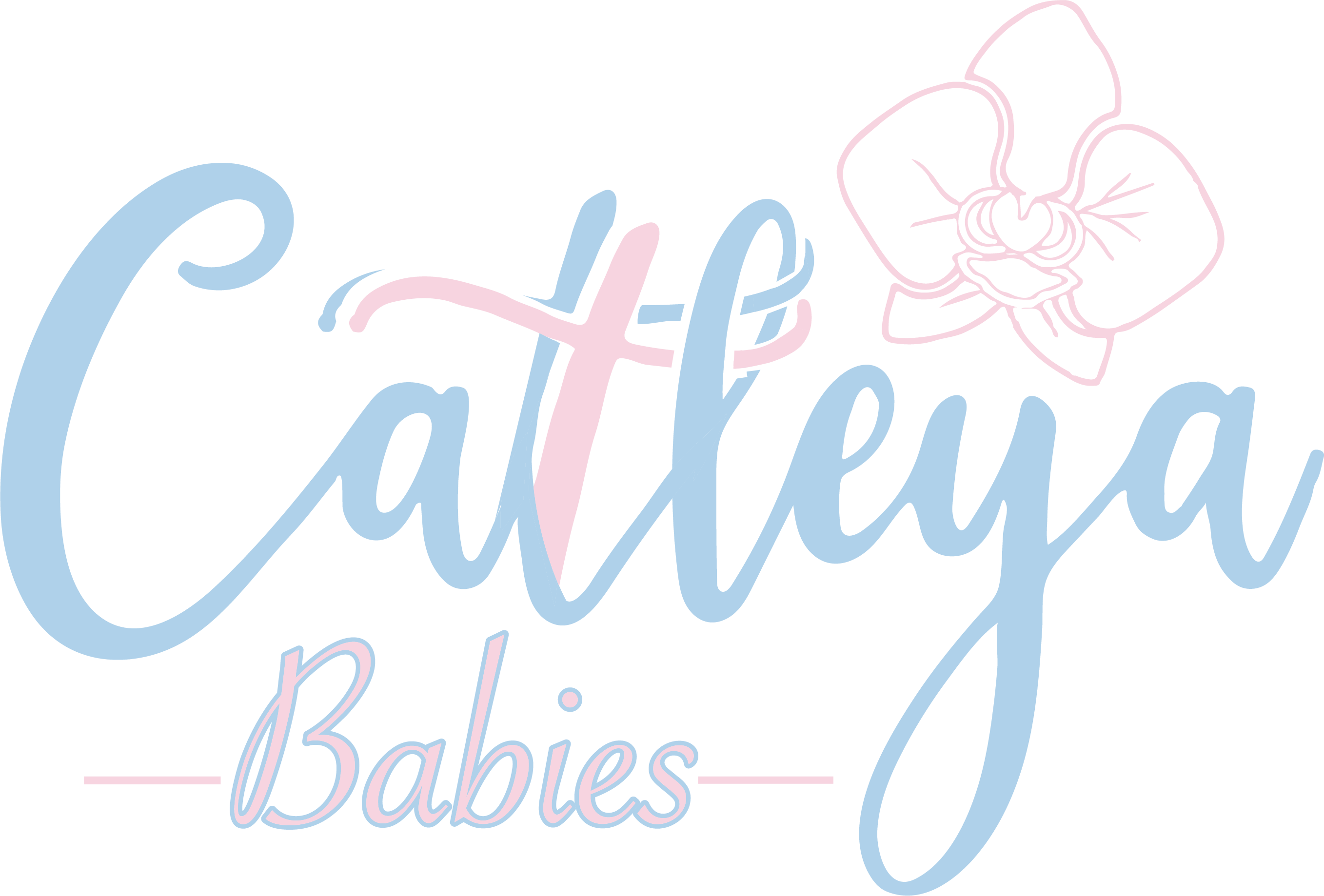 CATTLEYA BABIES US 🇺🇸